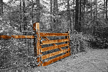 Rustic Fence